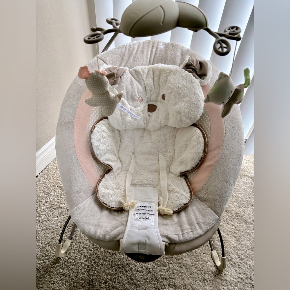 Fisher Price Puppy Baby Bouncer - Great Condition